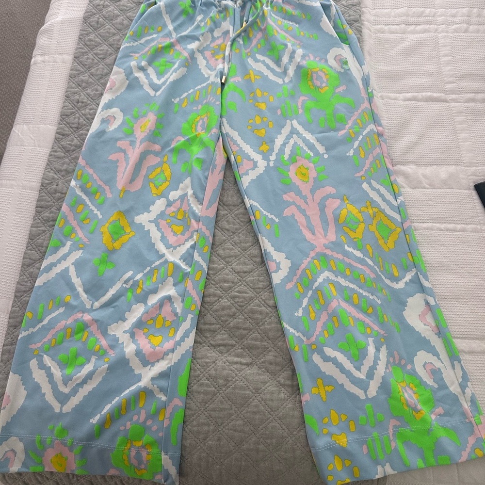 Dudley Stephens Palisades Pants in Repreve size small